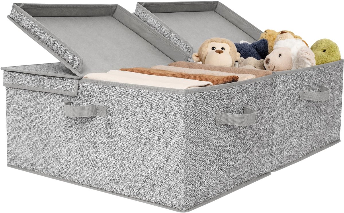 Omgoods - Set van 2 Grote Opbergdozen met Deksel, Grijs