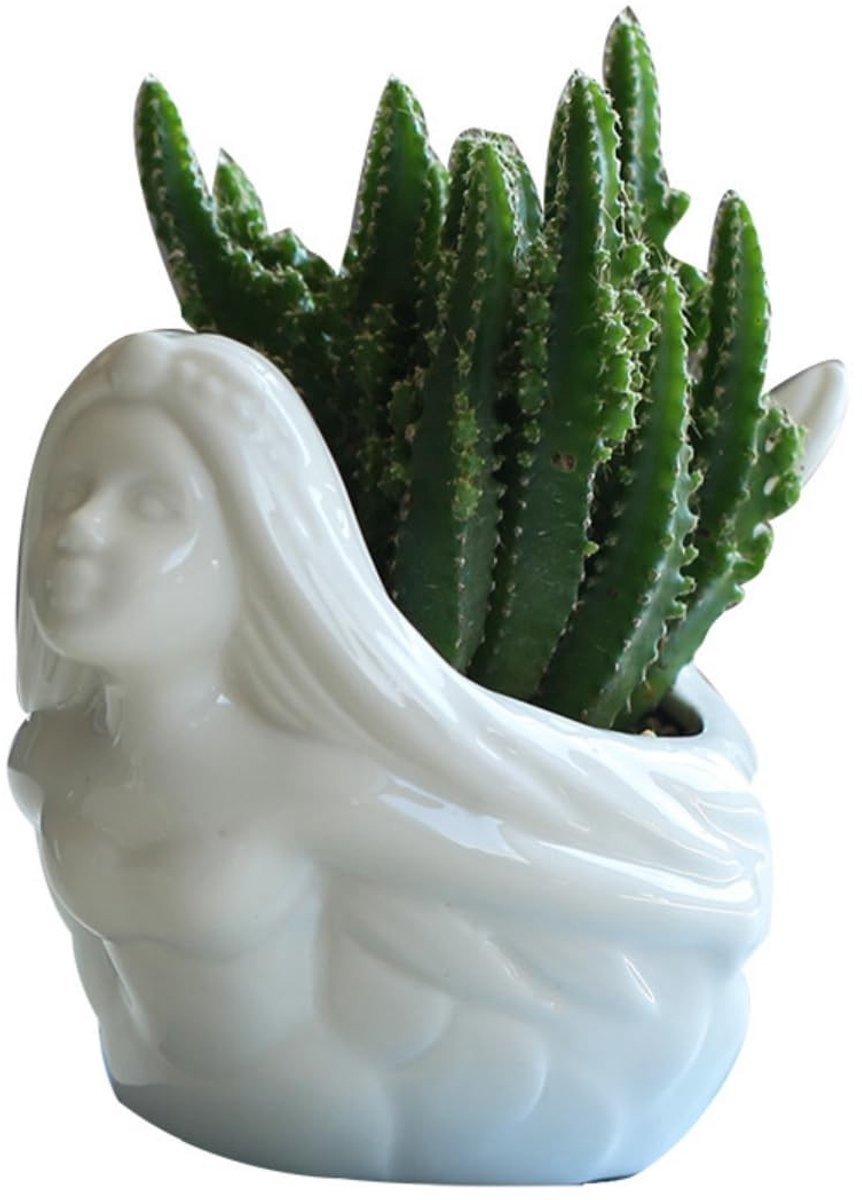Omgoods - Unieke Keramische Succulent Pot voor Thuisdecoratie