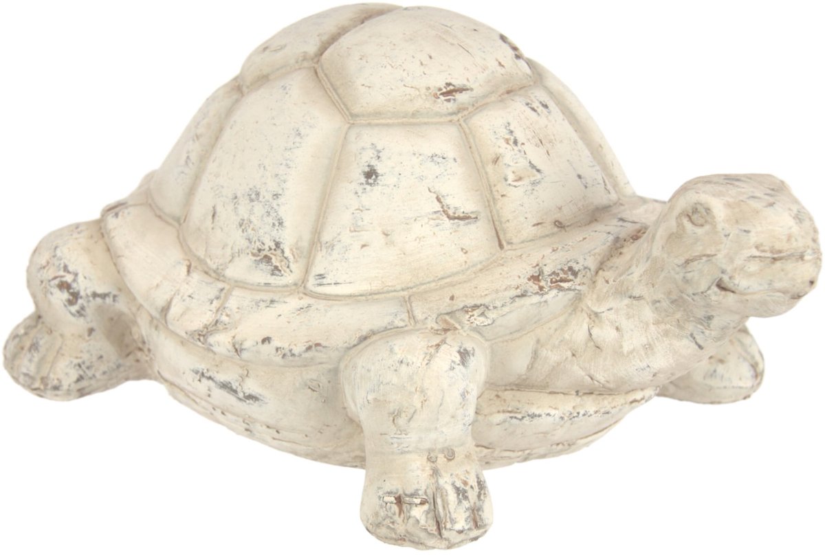 Omgoods - Decoratieve Tuinfoto van een Schildpad, Keramisch