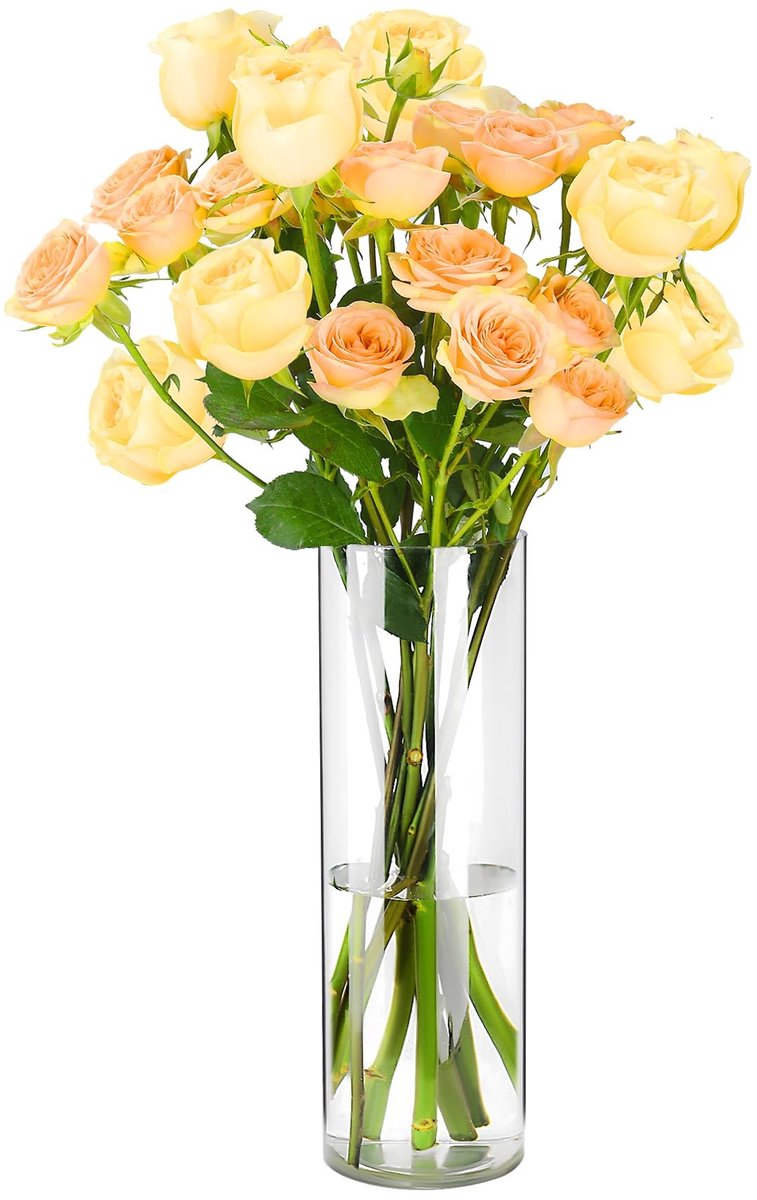 Omgoods - Transparante Acryl Vaas Lichtgewicht Cilindrisch voor Bloemen - 20x40cm