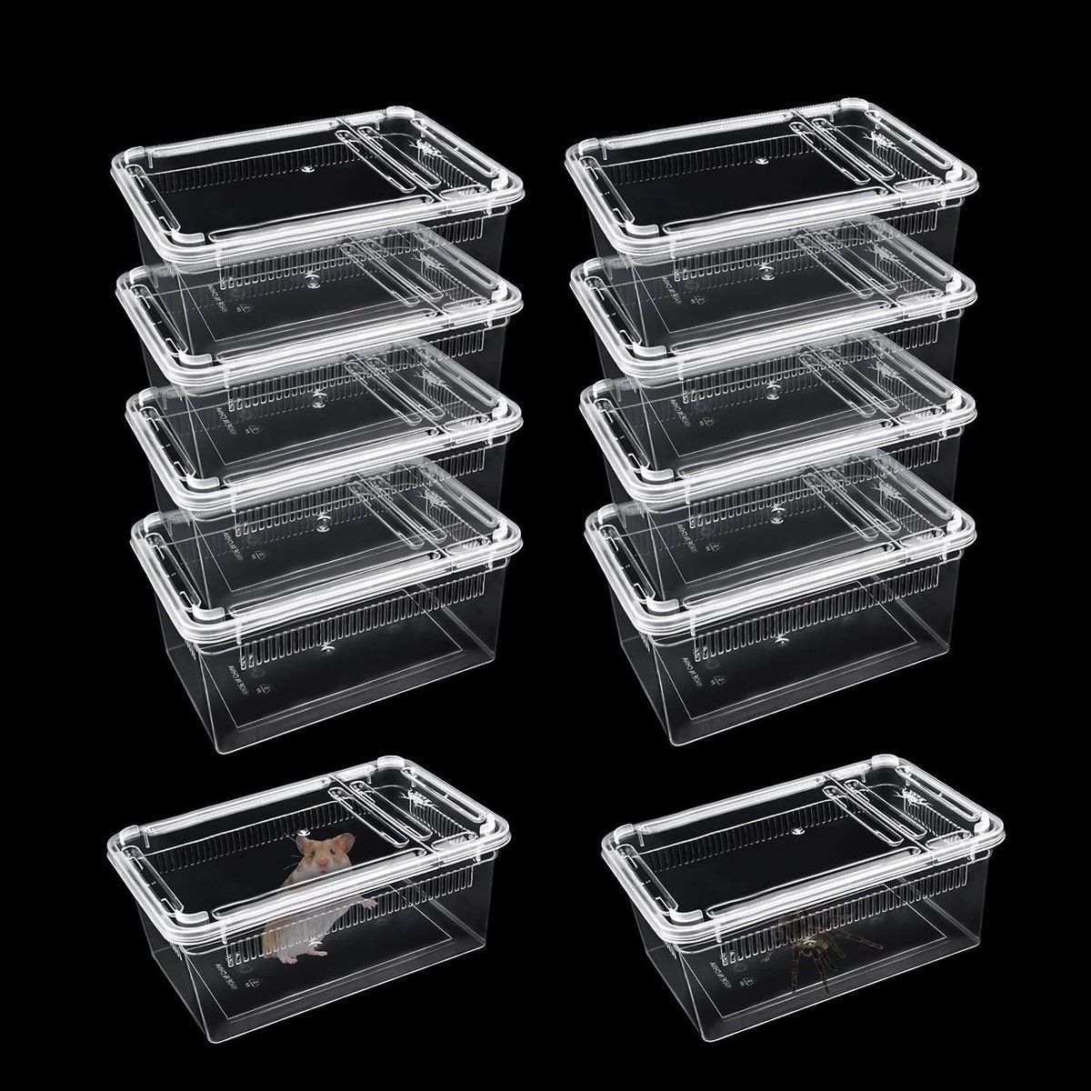 Reptielen Voerbak - Kweekkast Terrarium - Kleine dieren houden - Geventileerd en transparant - 10 stuks - Helder