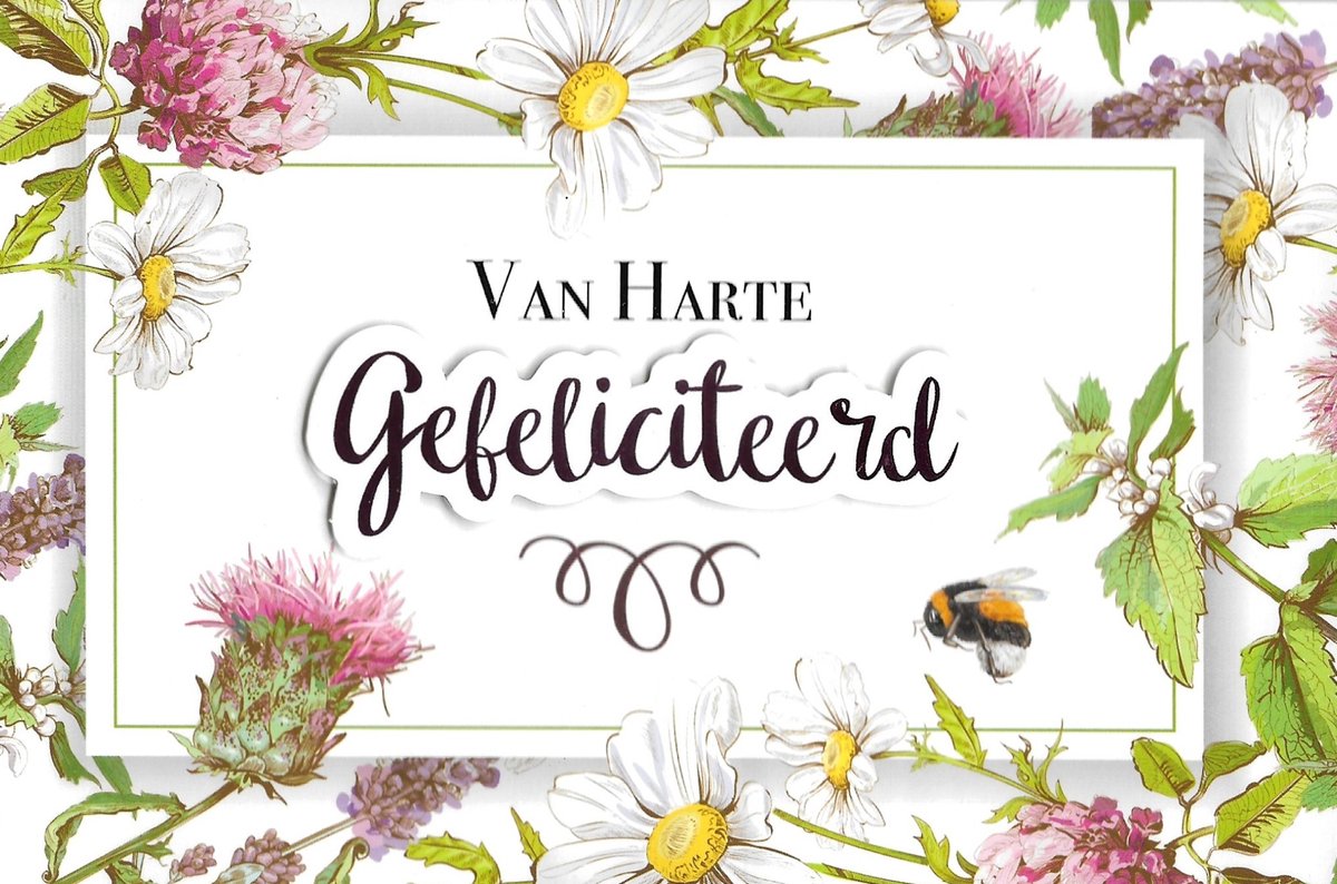 Wenskaart | 6 stuks | ADIOS applicatiekaart van harte gefeliciteerd
