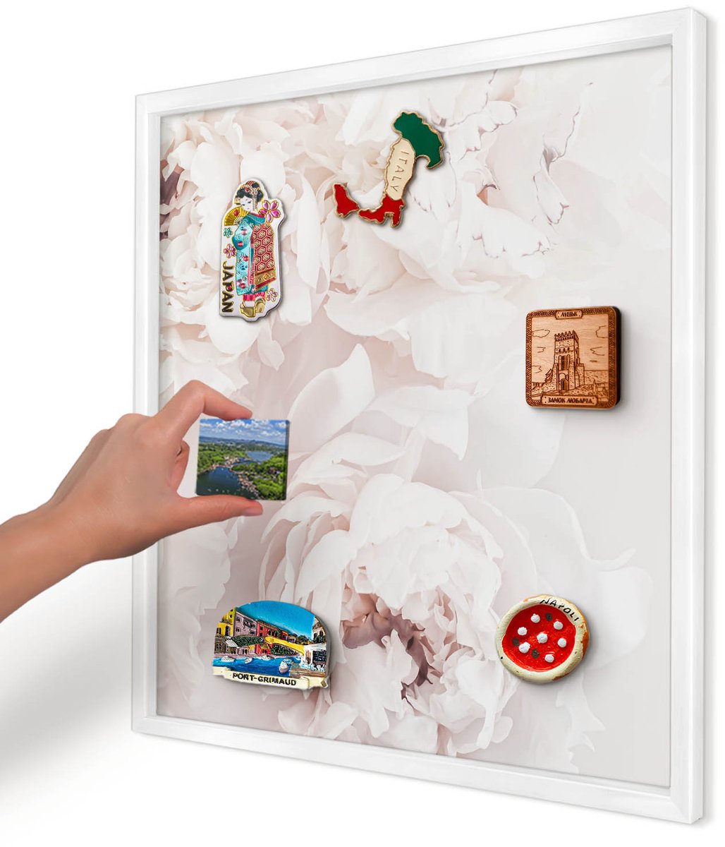 Artprintcave Wit Magneetbord mit Witte Lijst - 50x50 cm - Witte Pioenrozen Magneetbord Voor Foto's - Minimalist Magneetbord Voor Keuken - Bloemen En Planten