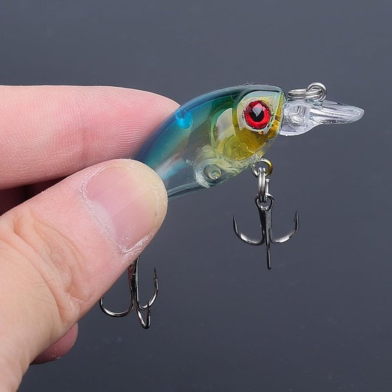 Kleine Crankbait Loodjes 4,5 cm/4 g, 9 Stuks per Zak, Vissen, Aas, Kunstmatige Loodjes, Diverse Kleuren — afbeelding 4