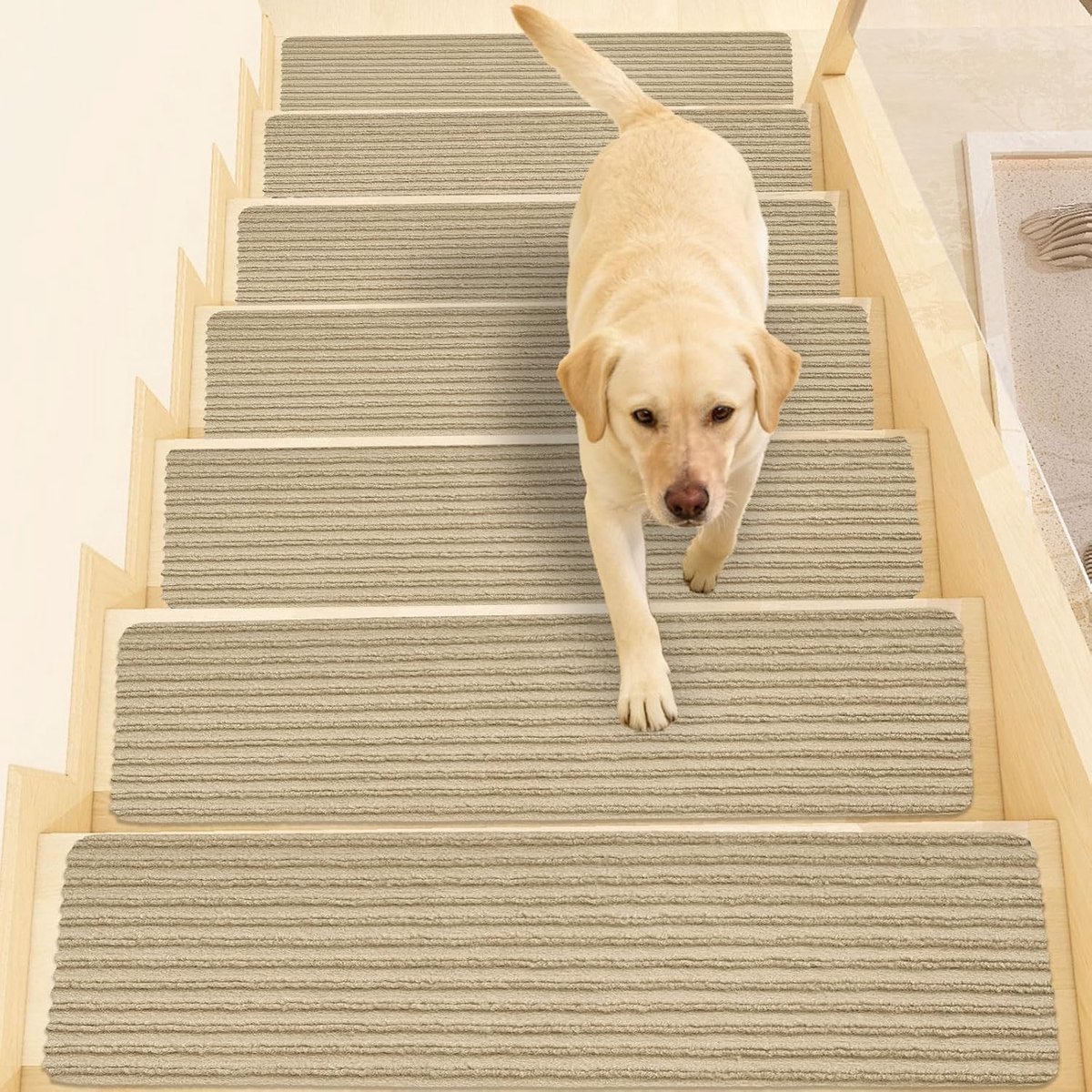 Comfortabele Antislip Trapmatten voor Binnen, 15 Stuks, Herbruikbaar en Veilig voor Huisdieren, Ouderen en Kinderen, Beige