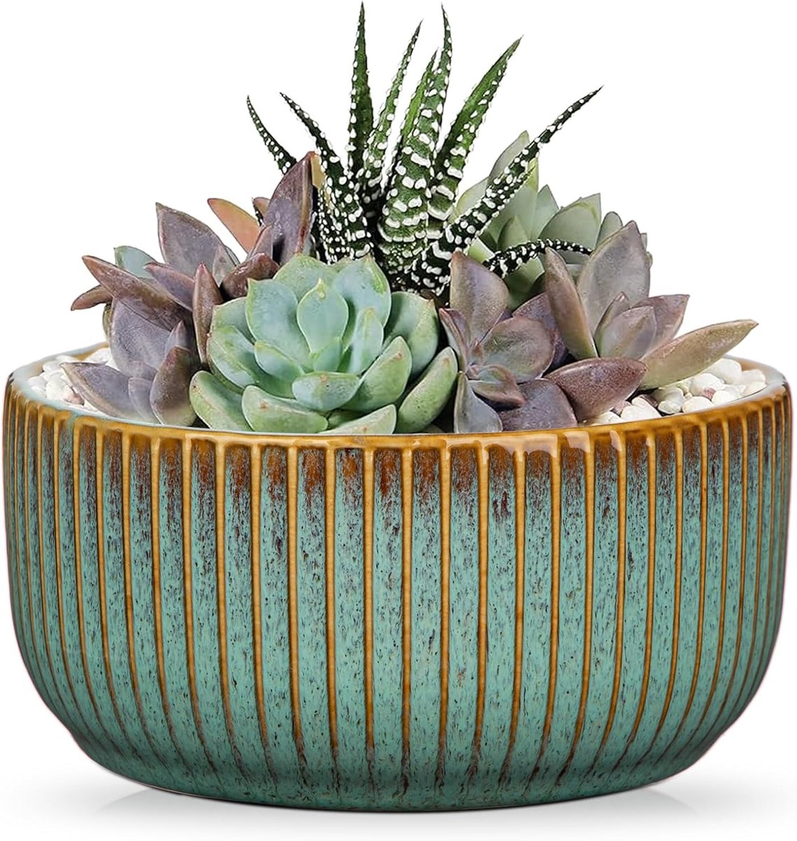 SnelShoppen - Oairse Keramische Ribbel Overpot, Bonsai Pot met Afvoergat en Onderzetters voor Binnenplanten, Retro Tuin Decoratie, Groene Pot met 14cm