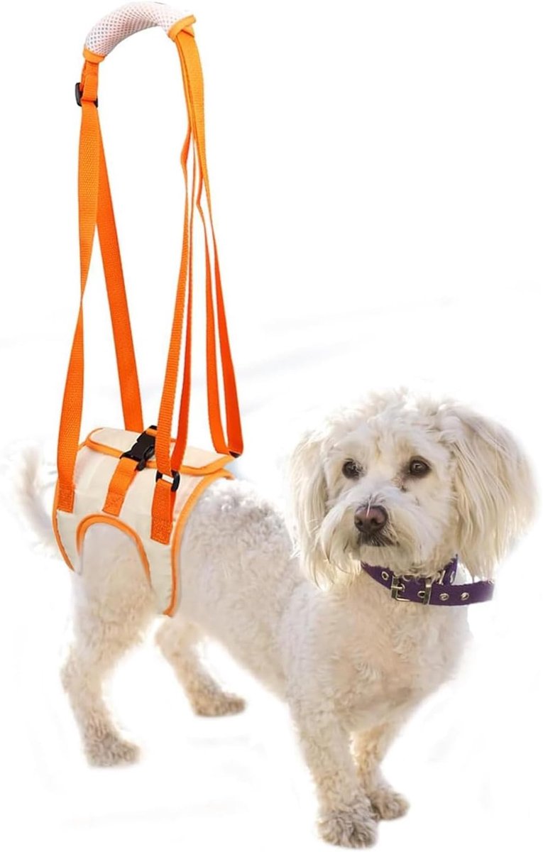 SnelShoppen - Soft Draagharnas voor Honden, Heuplift Harnas voor Achterpoten, Draagbare Ondersteuningsriem voor Oudere, Gewonde, Zieke en Gehandicapte