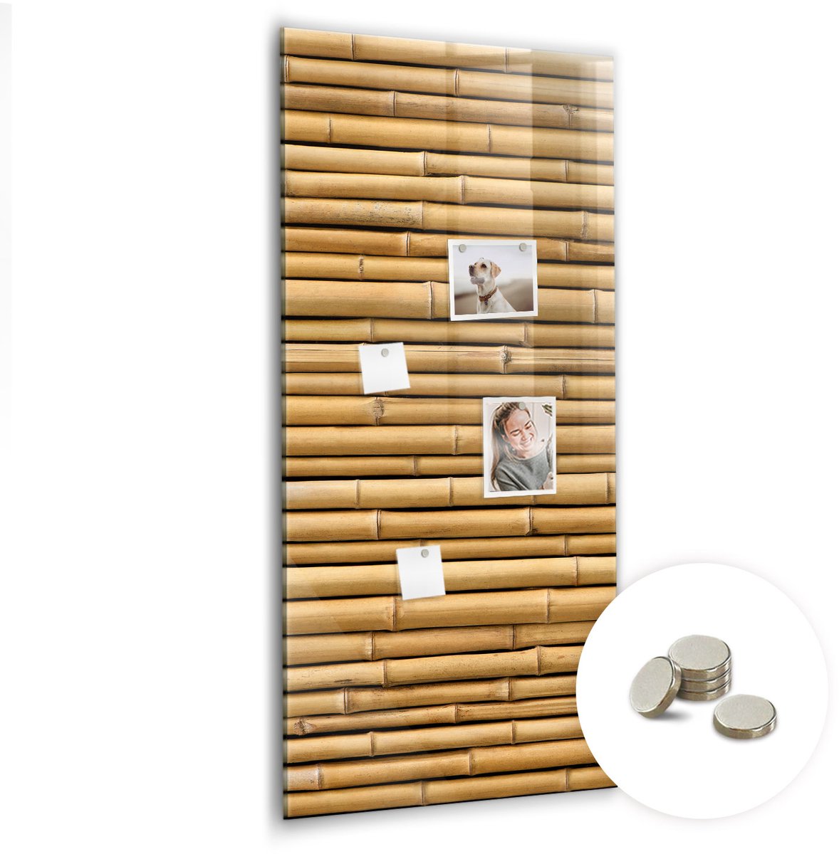 Coloray Glazen Magneetbord - Magnetisch Bord Monstera plantbladeren - 60x120 cm - Beige Magneetbord - Magnetic Board - Magnetisch Wandbord