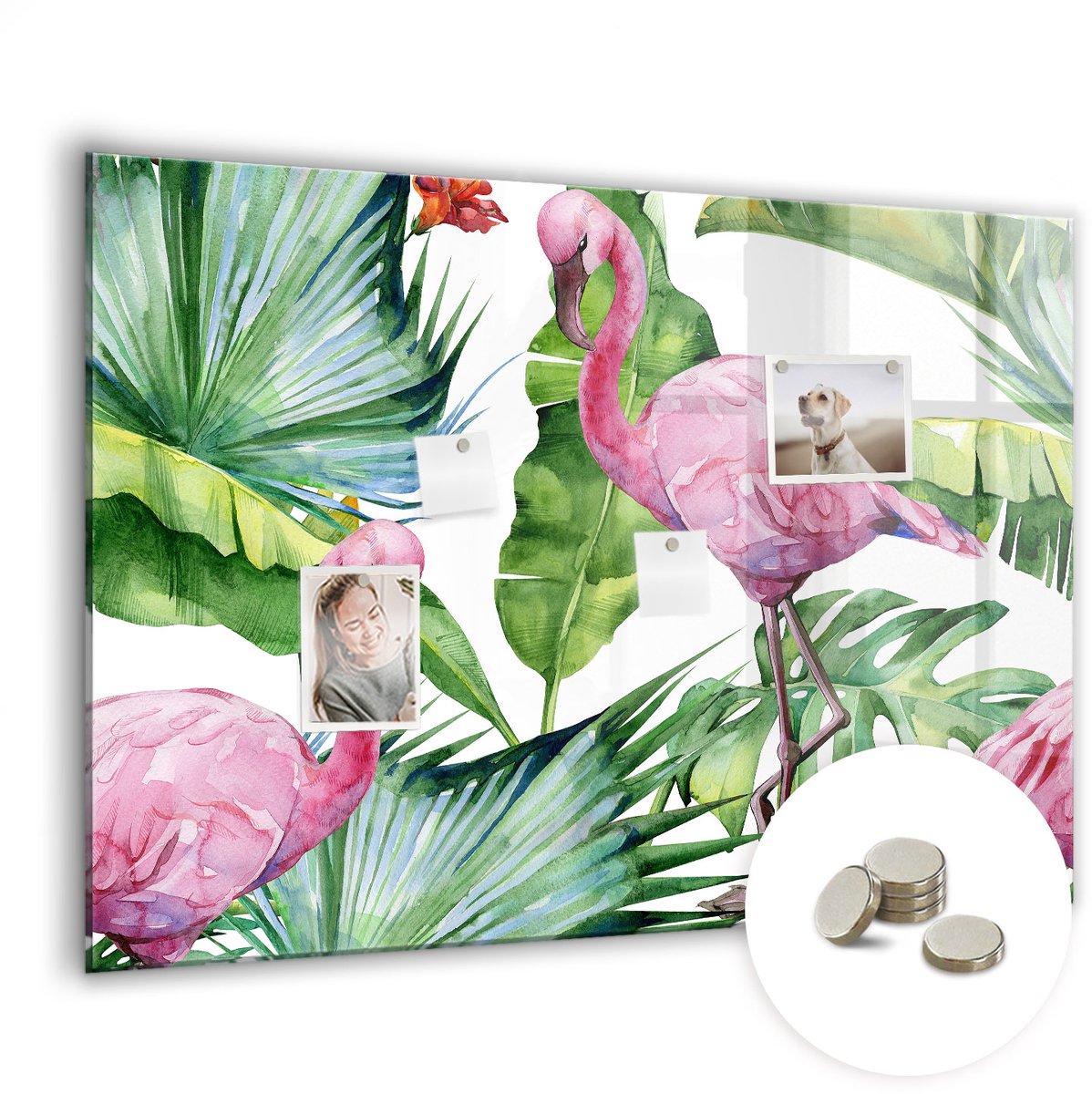 Coloray Glazen Magneetbord - Magnetisch Bord Koffiezakken - 100x70 cm - Veelkleurig Magneetbord - Magnetic Board - Keuken Decoratie