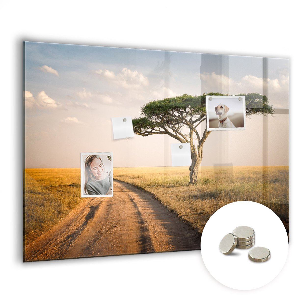 Coloray Glazen Magneetbord - Magnetisch Bord Houtstructuur - 100x70 cm - Veelkleurig Magneetbord - Magnetic Board - Magneetbord Design