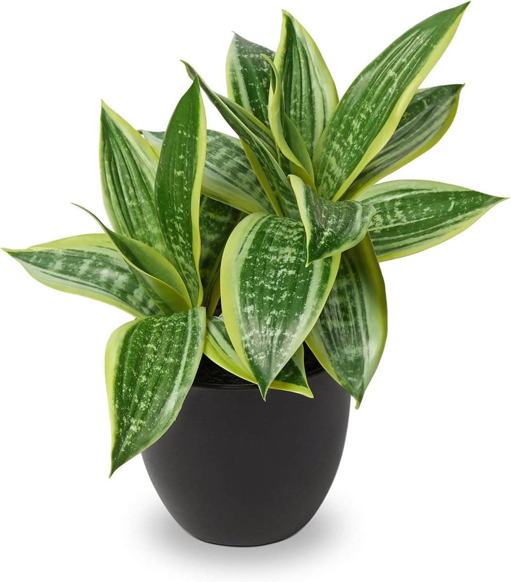 SnelShoppen - Sansevieria Kunstplant 2 Hoofden - Kunstzijden Snake Plant 30 cm - Onderhoudsvrije Indoor Plant voor Woonkamer, Badkamer, Slaapkamer, Ka
