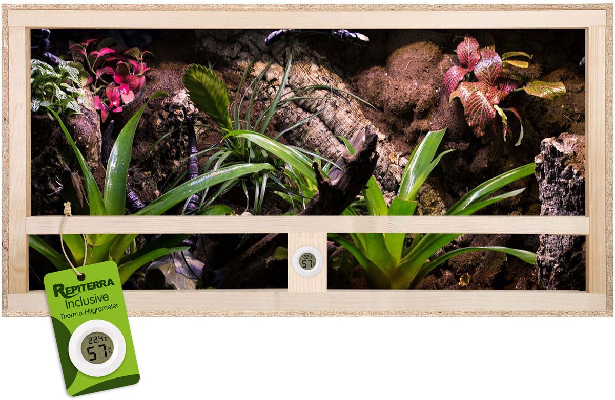 REPITERRA® Terrarium reptielen amfibieën zijventilatie 100x50x50 cm