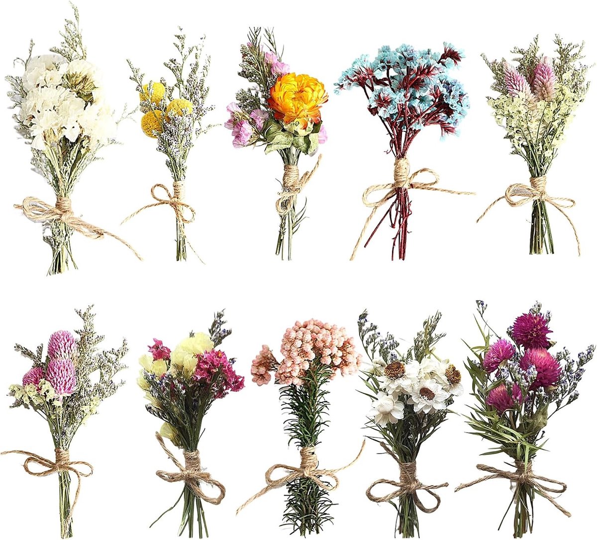10 Bossen Natuurlijke Gedroogde Bloemen - Decoratieve Bloemen voor Thuis, Tuin, Feest en Kantoor Decoratie