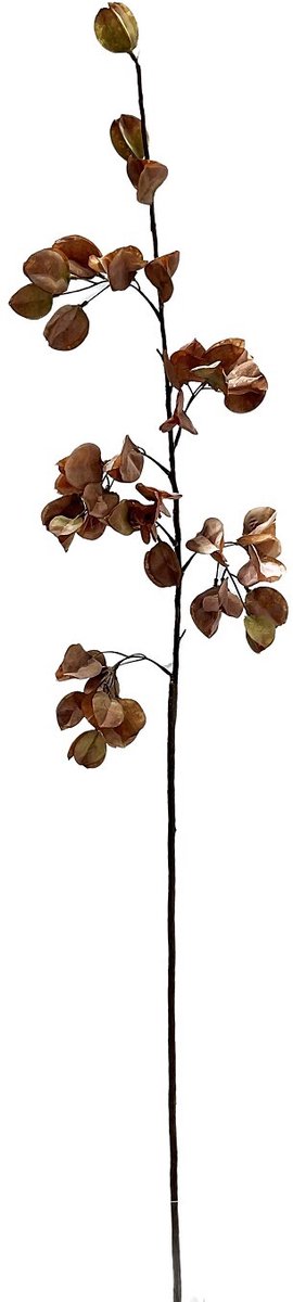 Kunst bloesemtak Koelreuteria 106cm taupe