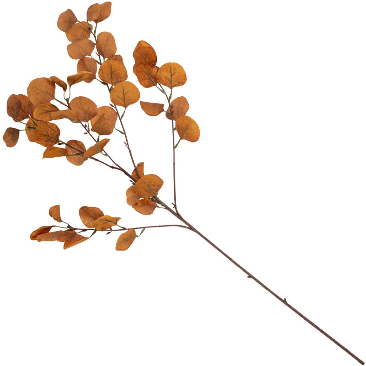 homebound by ky Kunsttak eucalyptus 90cm sandstone bruin