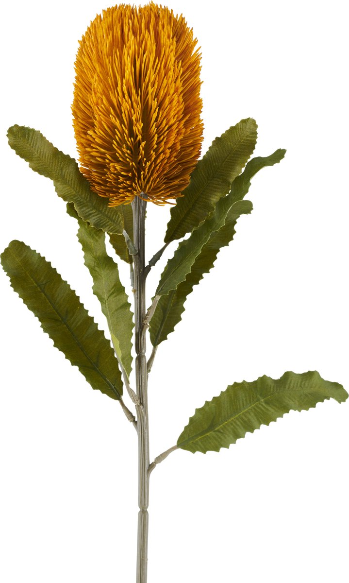 Easyplants | Kunstbloem Banksia 65 cm mosterd | Zijde | Nepbloemen | mosterd | Onderhoudsvrij | Kant-en-klaar