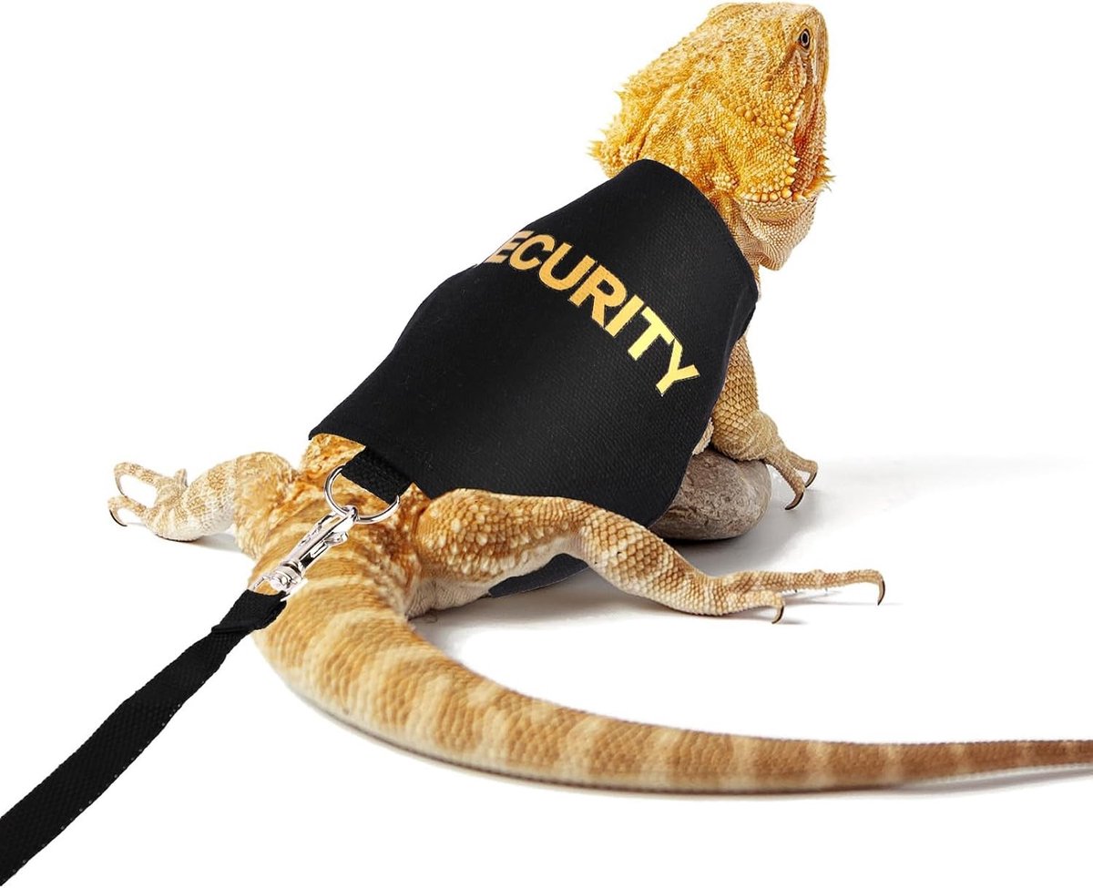 Verstelbare Lizard Reptiel Harnas en Band Set voor Kameleons en Amfibieën - Veilig Wandelen met Kleine Huisdieren en Accessoires voor Buitenactiviteiten