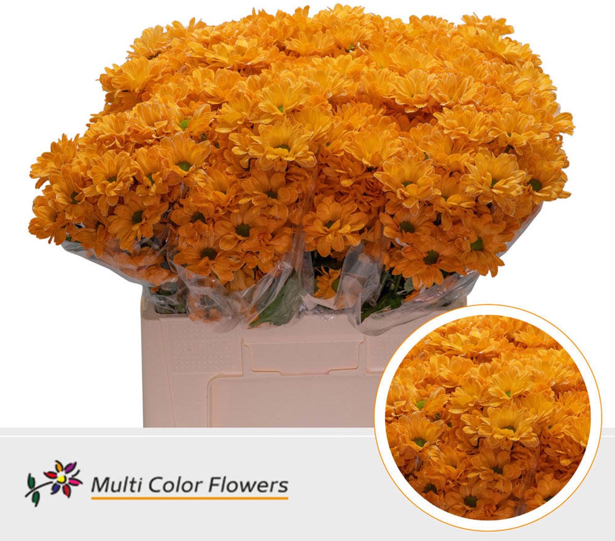 10x Chrysant kennedy oranje 60cm