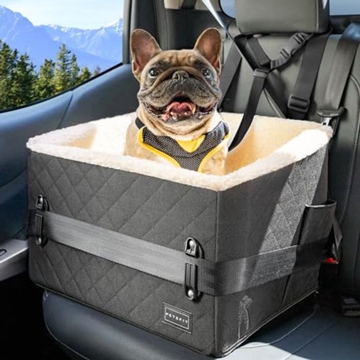 Verhoogde hondenautostoel voor kleine honden tot 12 kg - Veiligheid en comfort in de auto