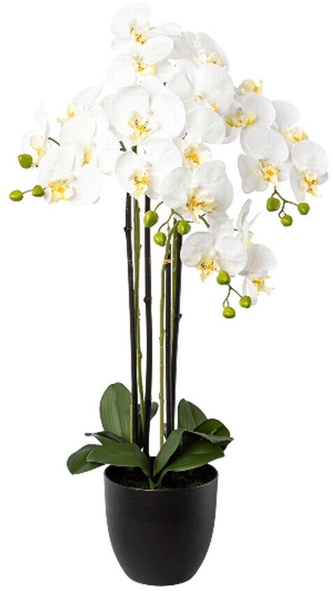Gasper Kunstplant Vlinderorchidee Wit 4 takken 83 cm