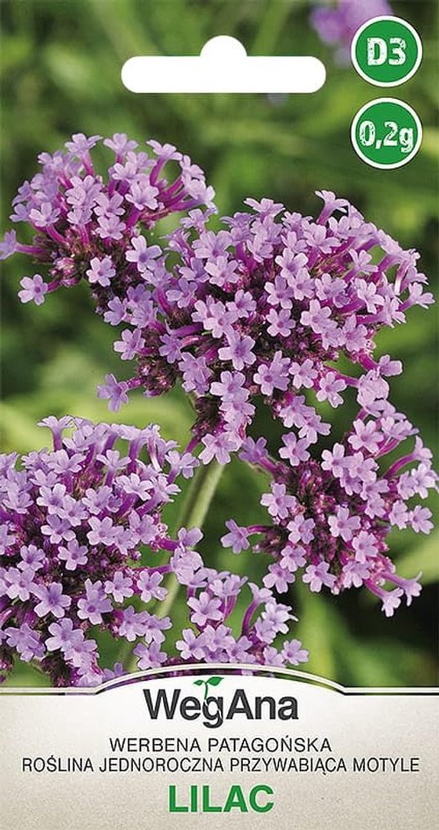 Solidchoice - Patagonische Verbena Lilac Zaad - Aantrekkelijk voor Vlinders