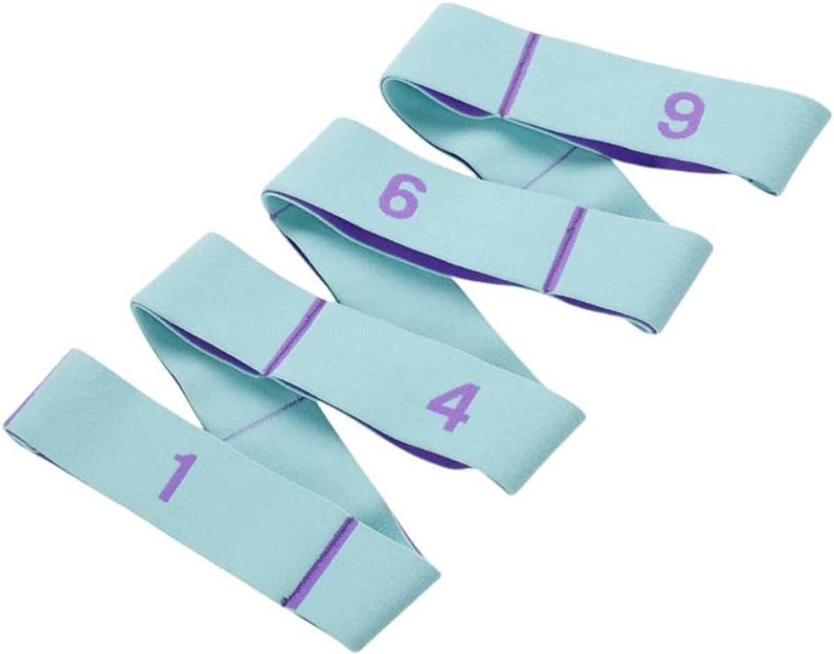 Weerstandbanden voor Fitness, Pilates en Yoga - Elastische Oefenbanden voor Thuis en Gym (Blauw & Paars)