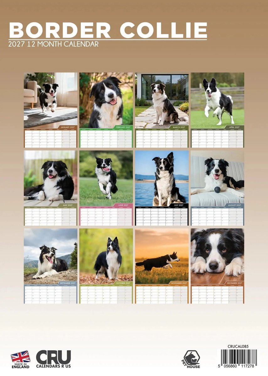 Border Collie A3 Kalender 2027