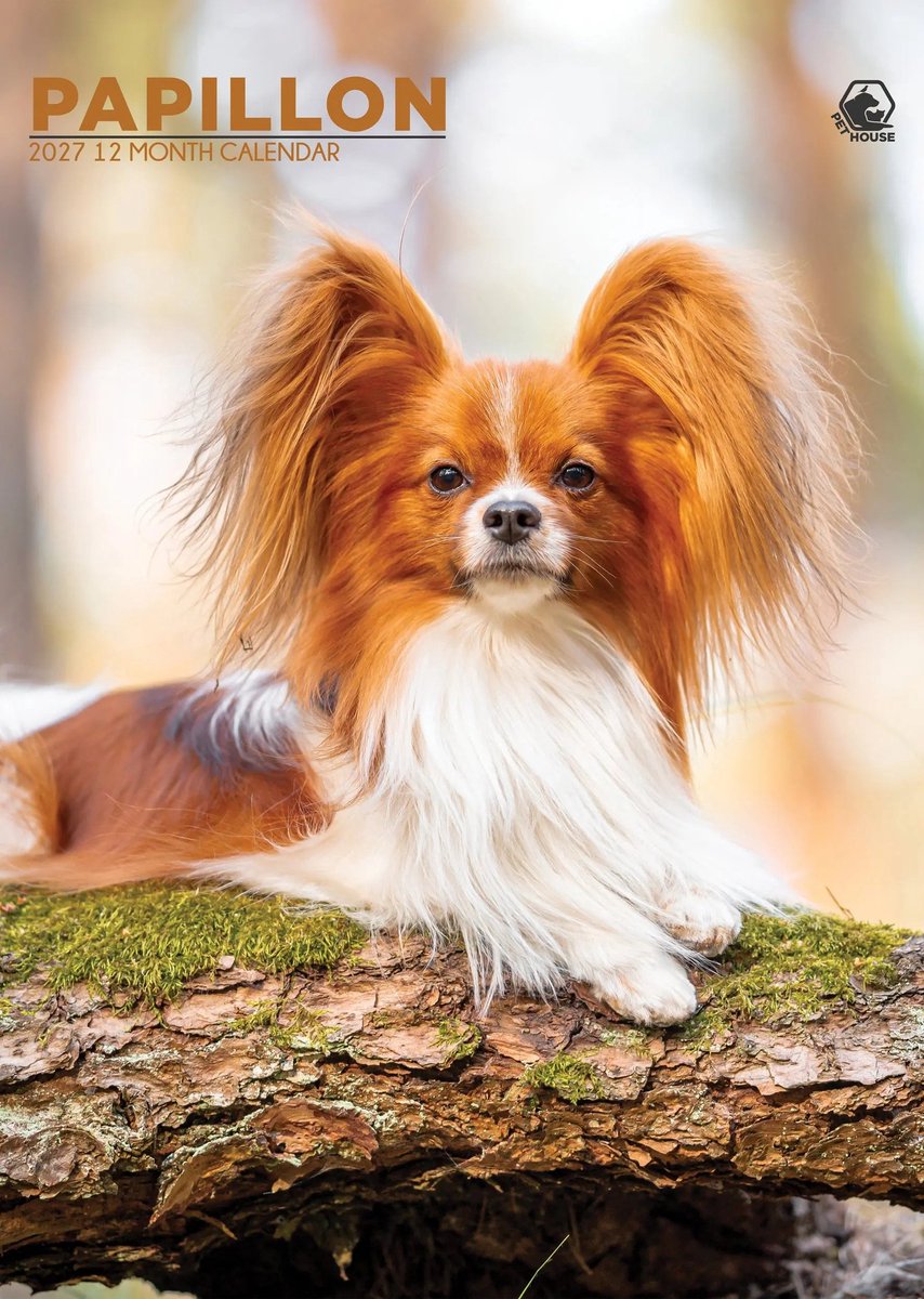 Papillon A3 Kalender 2027