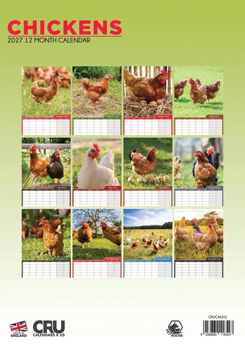 Kippen A3 Kalender 2027