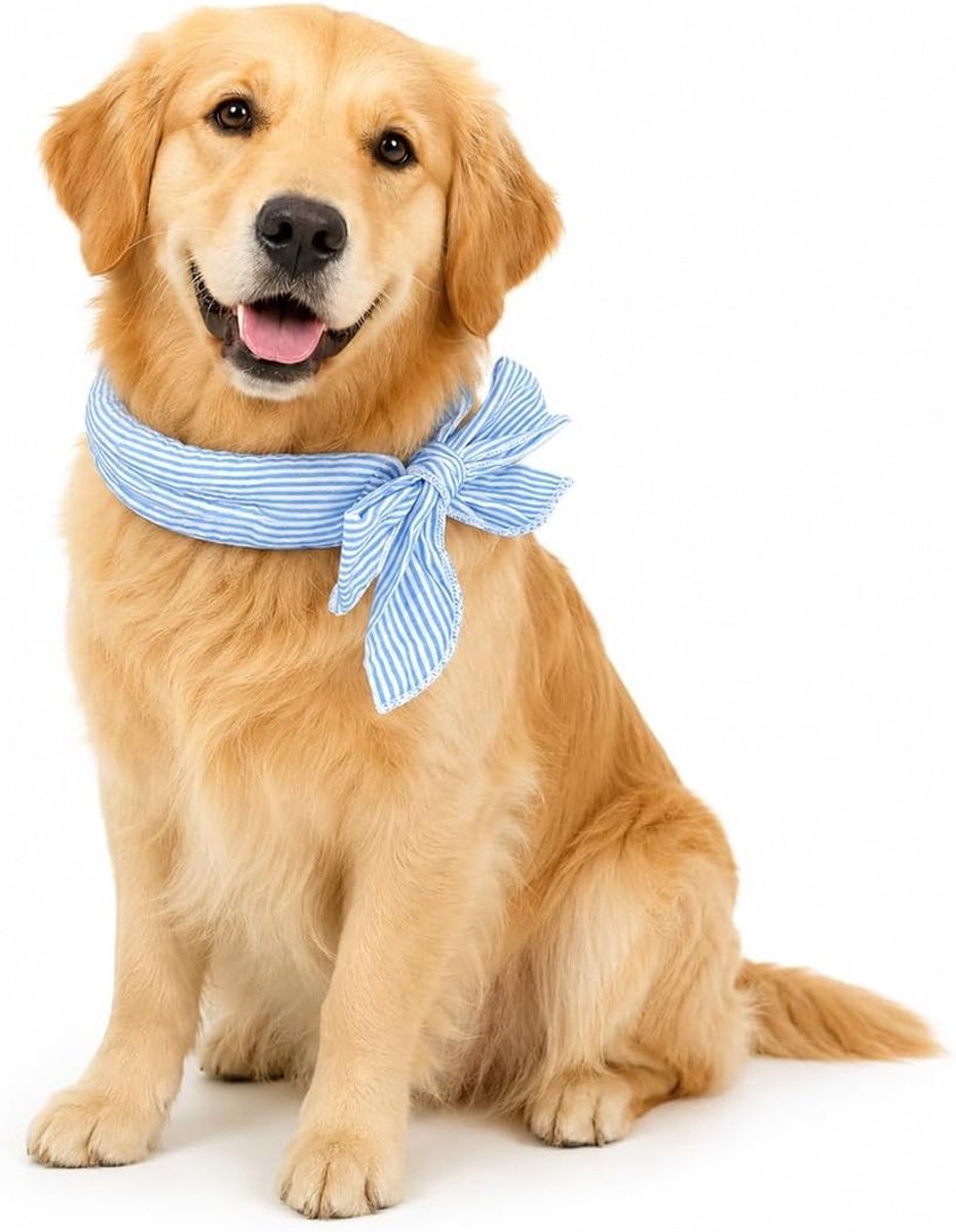 Koelband voor Honden van Ademend Materiaal, Waterabsorberend en Rekbaar, 100 x 2 cm voor Zomerhitte