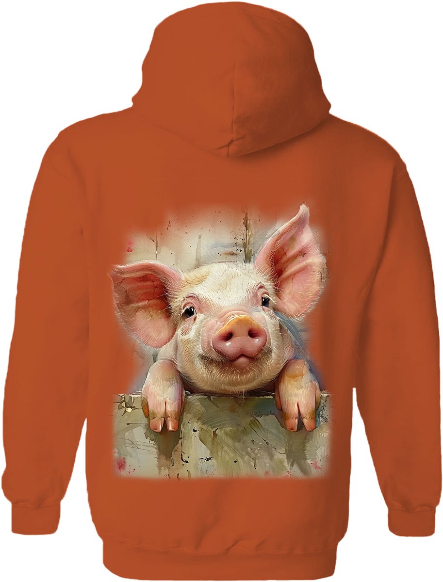 Blij Biggetje Happy Piglet The Coloured House Hoodie 4XL