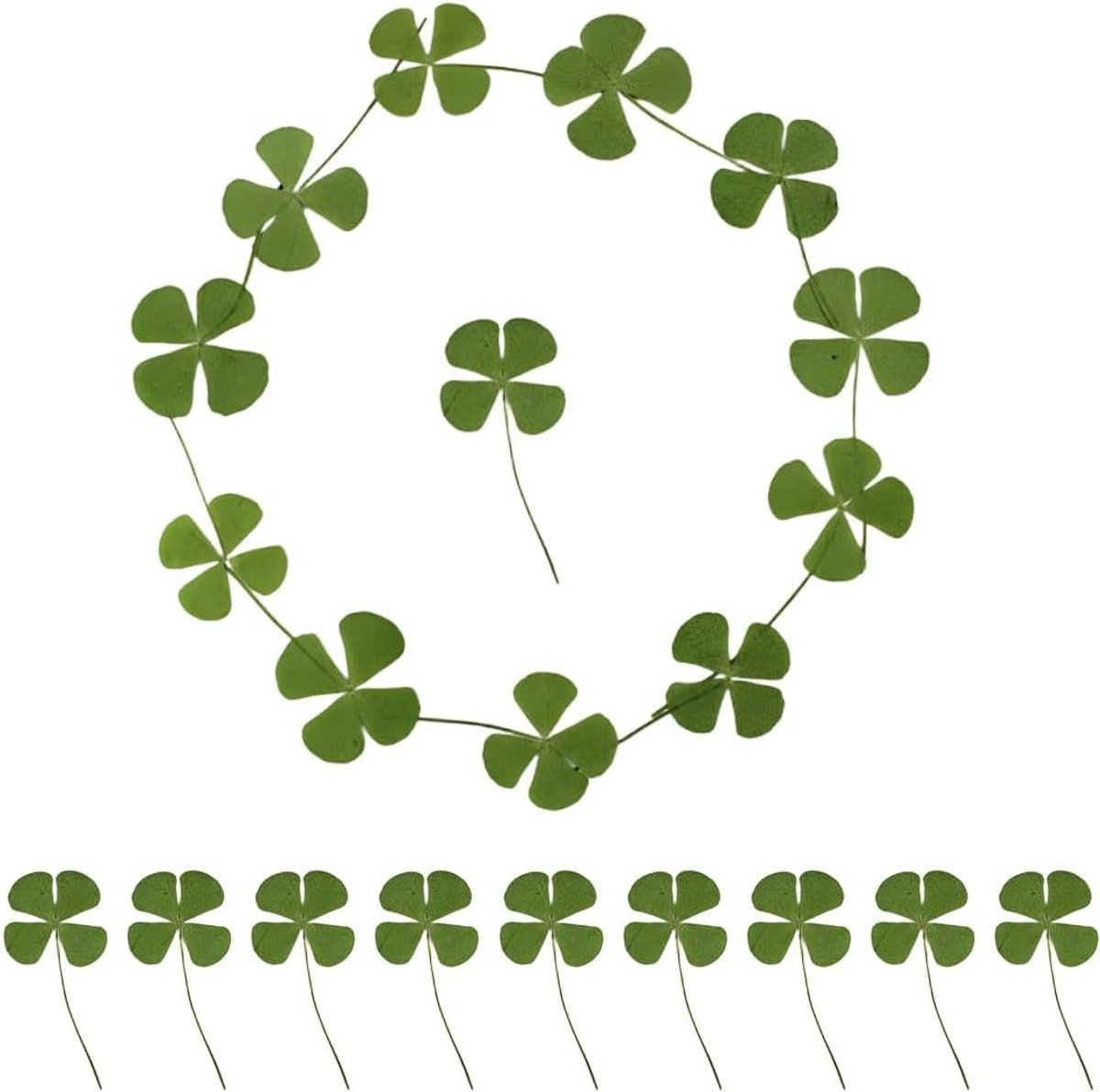 Klavertje Vier Bladeren - Groen - 4-6 cm - Gedroogde Bloemen voor Kunsthandwerk en Sieraden Maken