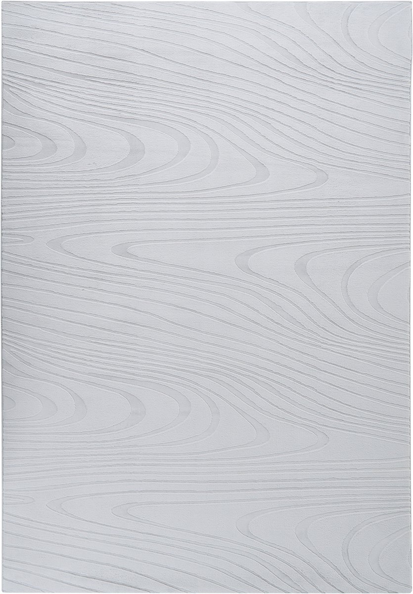 ONTAKE - Vloerkleed - Lichtgrijs - 160 x 230 cm - Kunstbont