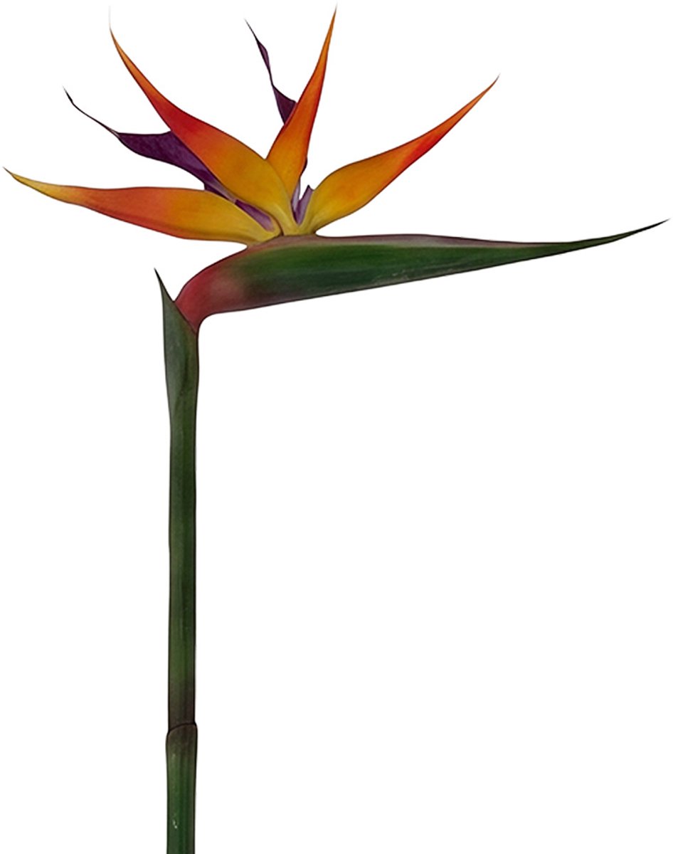 Clayre & Eef Kunstbloem Oranje Kunststof