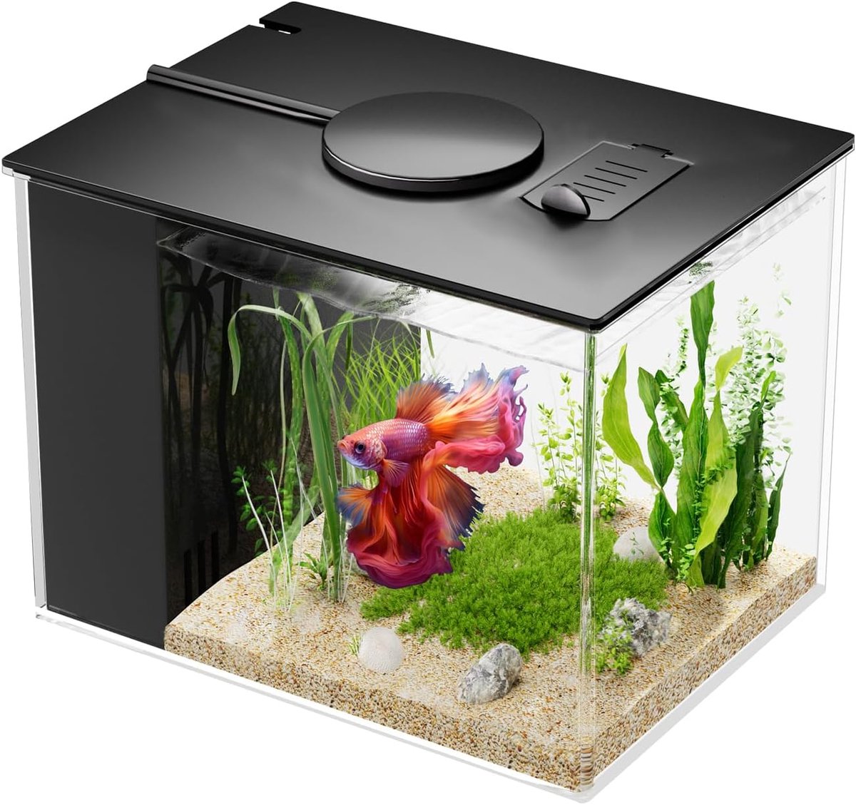 Thijox - 3,7 L Mini Betta Aquarium Set - Compact Acryl Nano Aquarium met Filterpomp en LED Verlichting - Ideaal voor Kleine Vissen, Garnalen en Plante