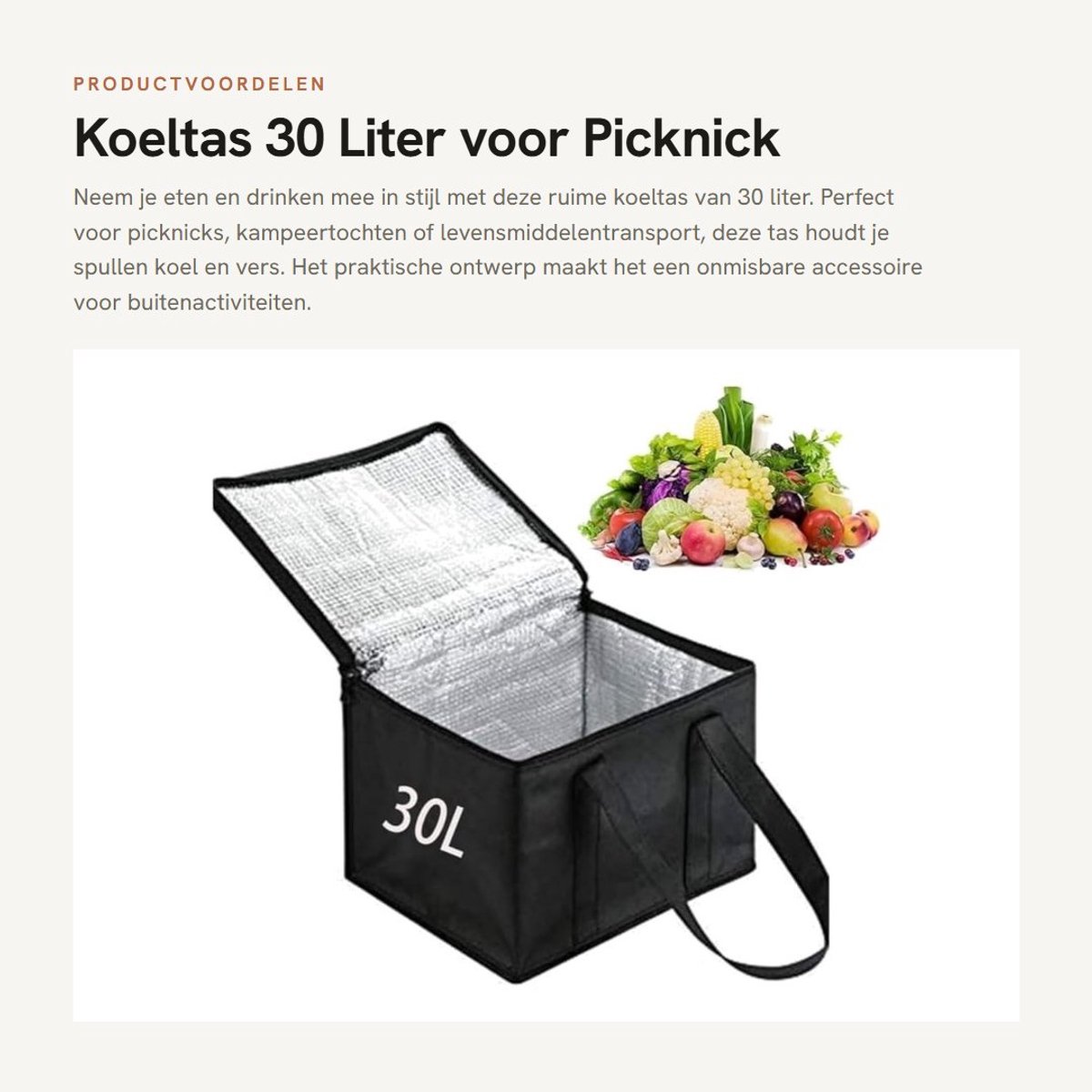 Dailygoods- Koeltas 30 Liter - Thermische Tas - Lunchtas voor Outdoor - Picknick - Camping - 41 x 26 x 33 cm - Zwart - Lunchbox