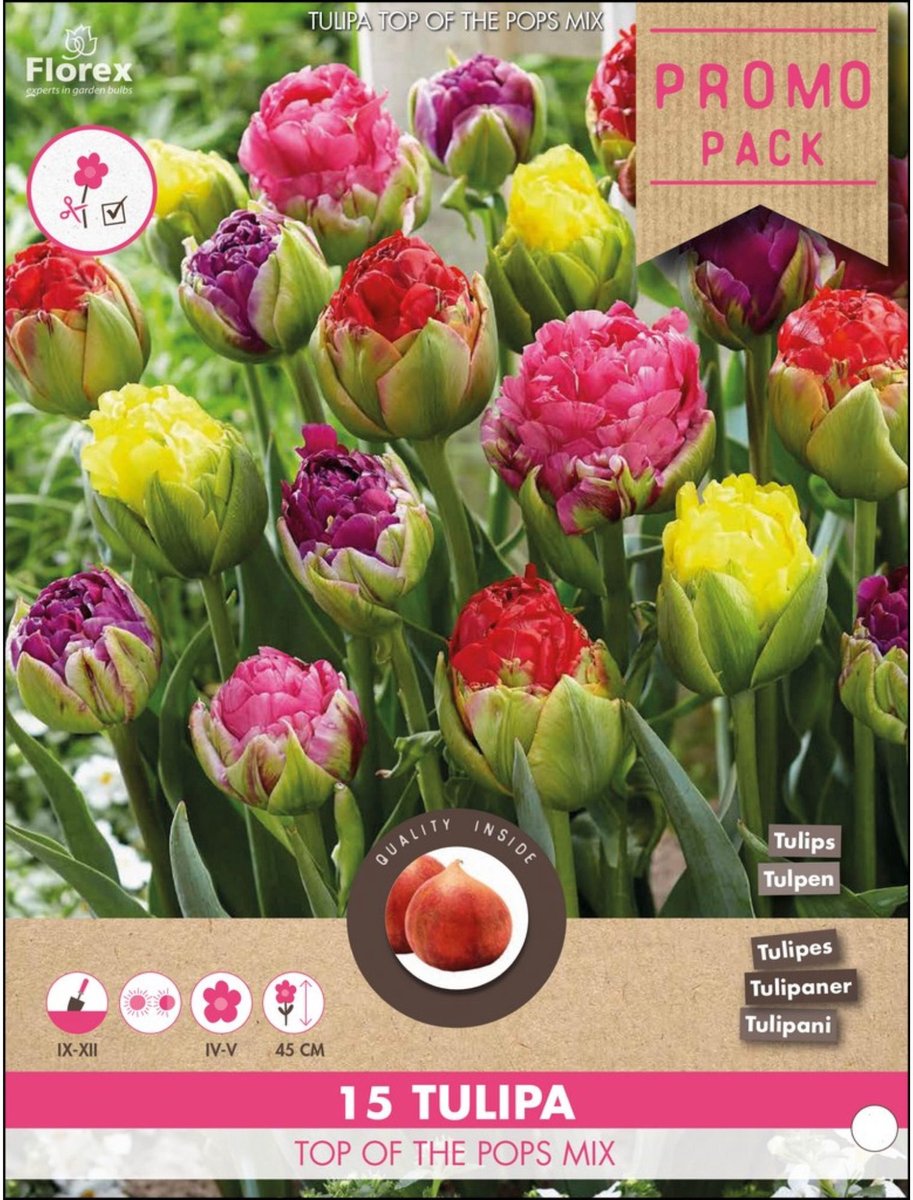 Tulpen Top of the Pops – Tulipa - Snijbloemen - Voorjaarsbollen - bloeit in April / Mei