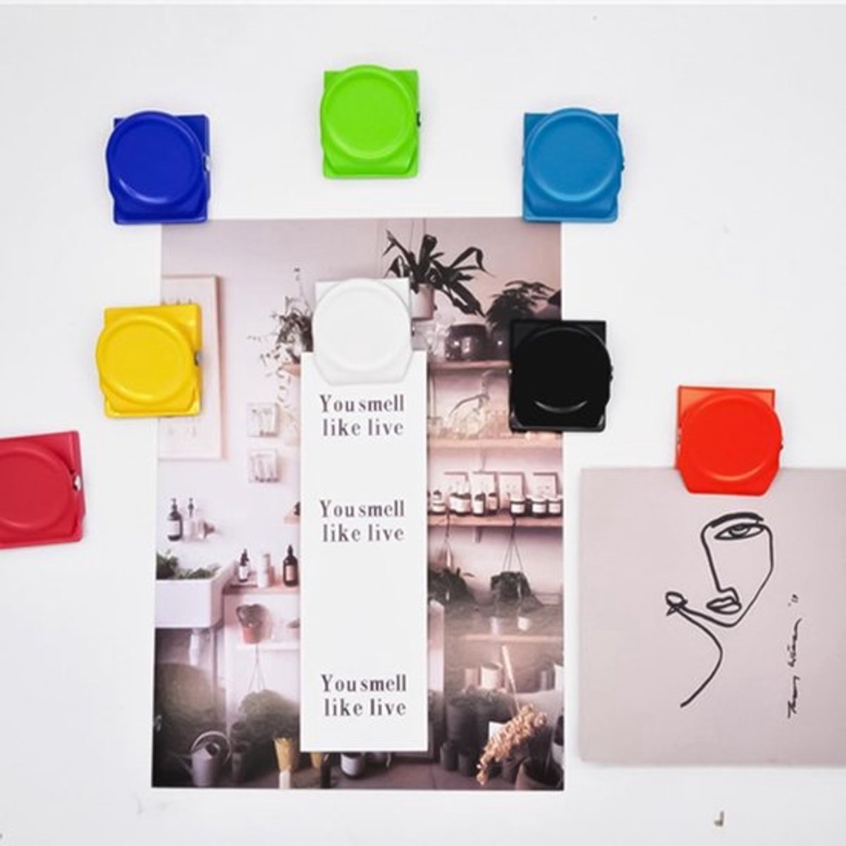 Magneetklemmen 15 stuks - Sterke Magneten - Multifunctionele Clips - Voor Koelkast/Whiteboard - Organiseren van Memo's - Ideaal voor Thuis/Kantoor