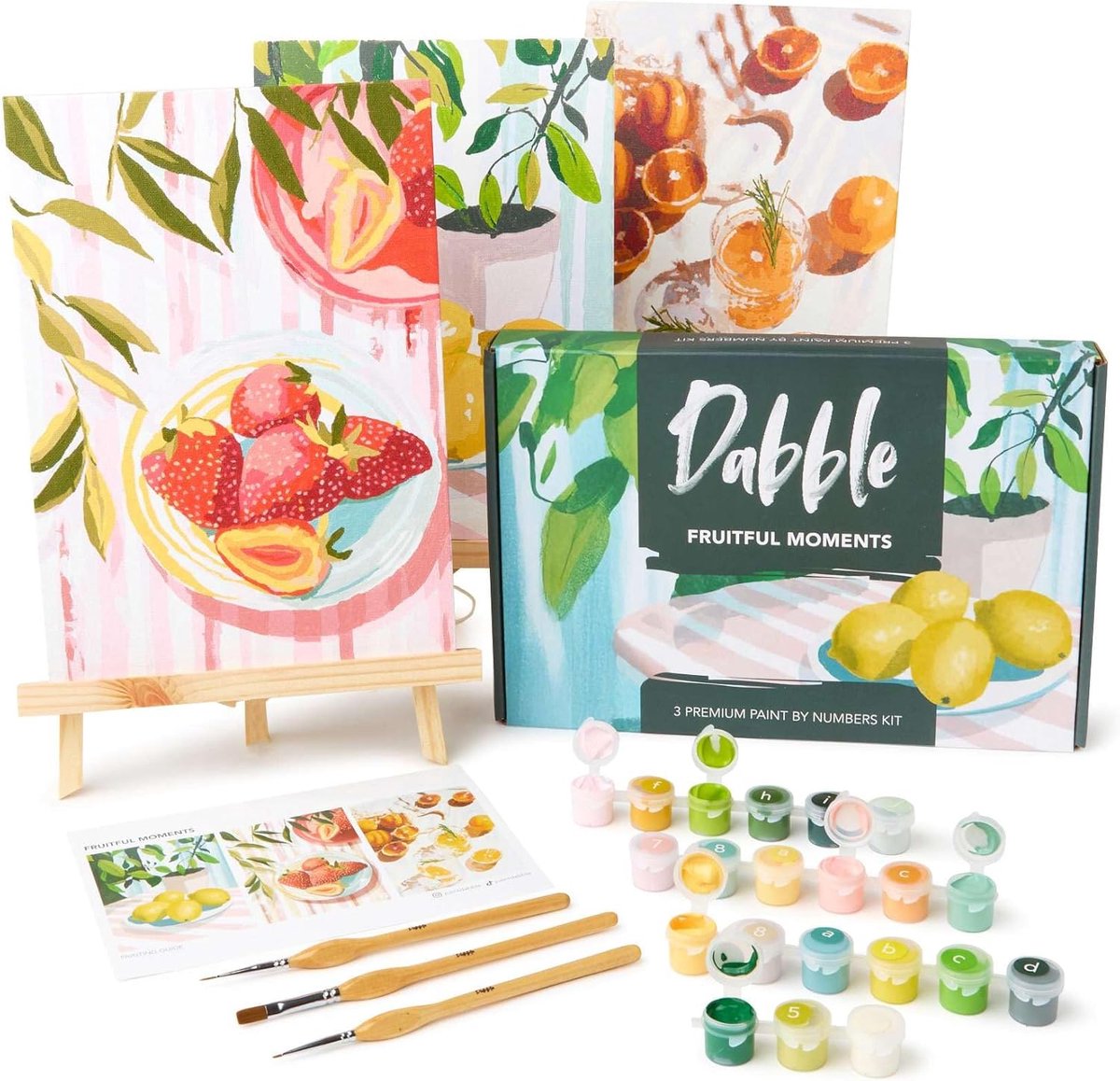Dabble Premium Schilderen op Nummer Kit voor Volwassenen Beginners - Kwaliteit Schilderen op Nummer voor Volwassenen op Canvasframe - Bloemen - Planten - Cadeau