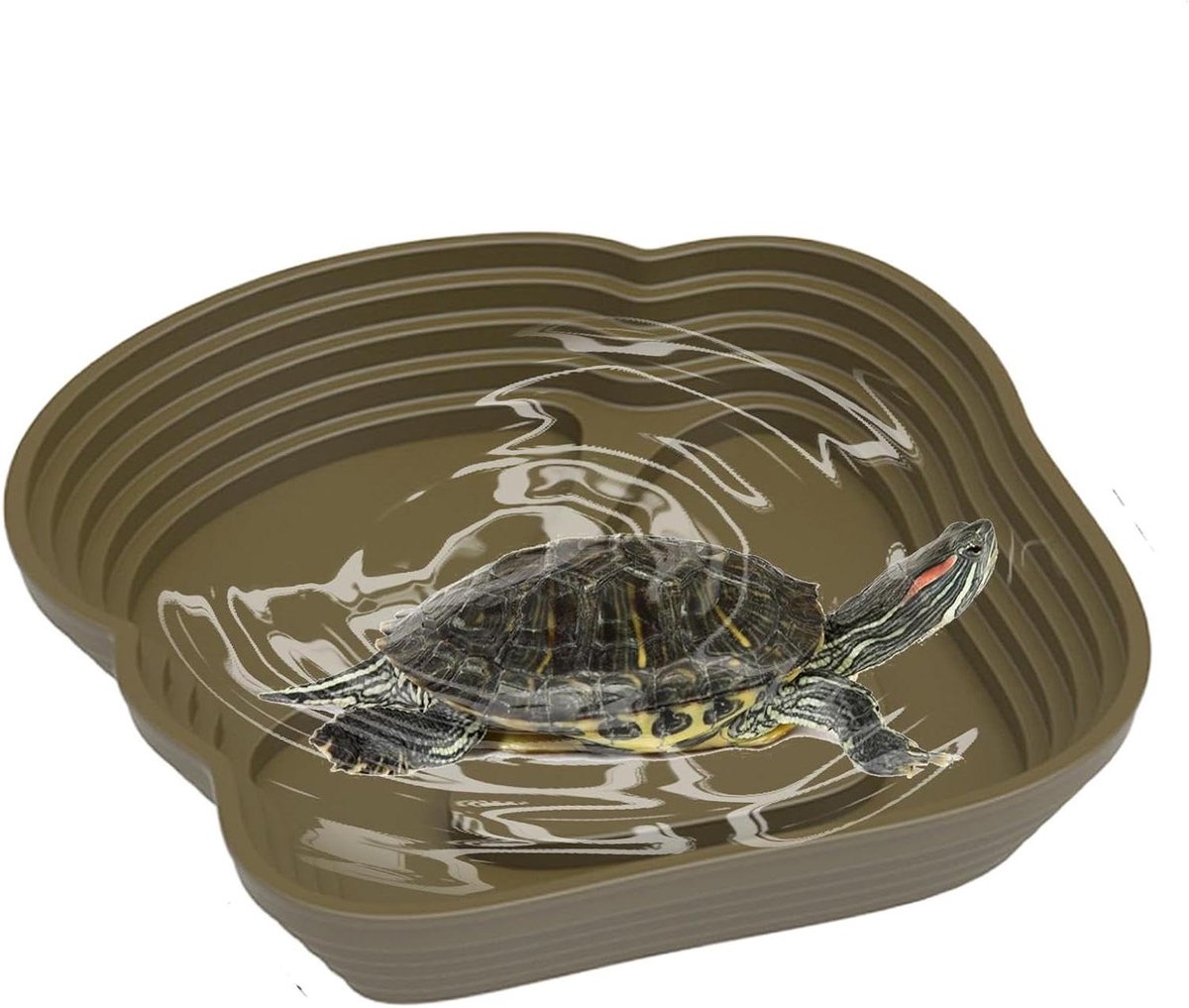 Reptielen Voedselbak - Waterschaal Terrarium - Hydratatie Zorgen - Veilig Voedselkwaliteit PP - 186 g - Leger Groen