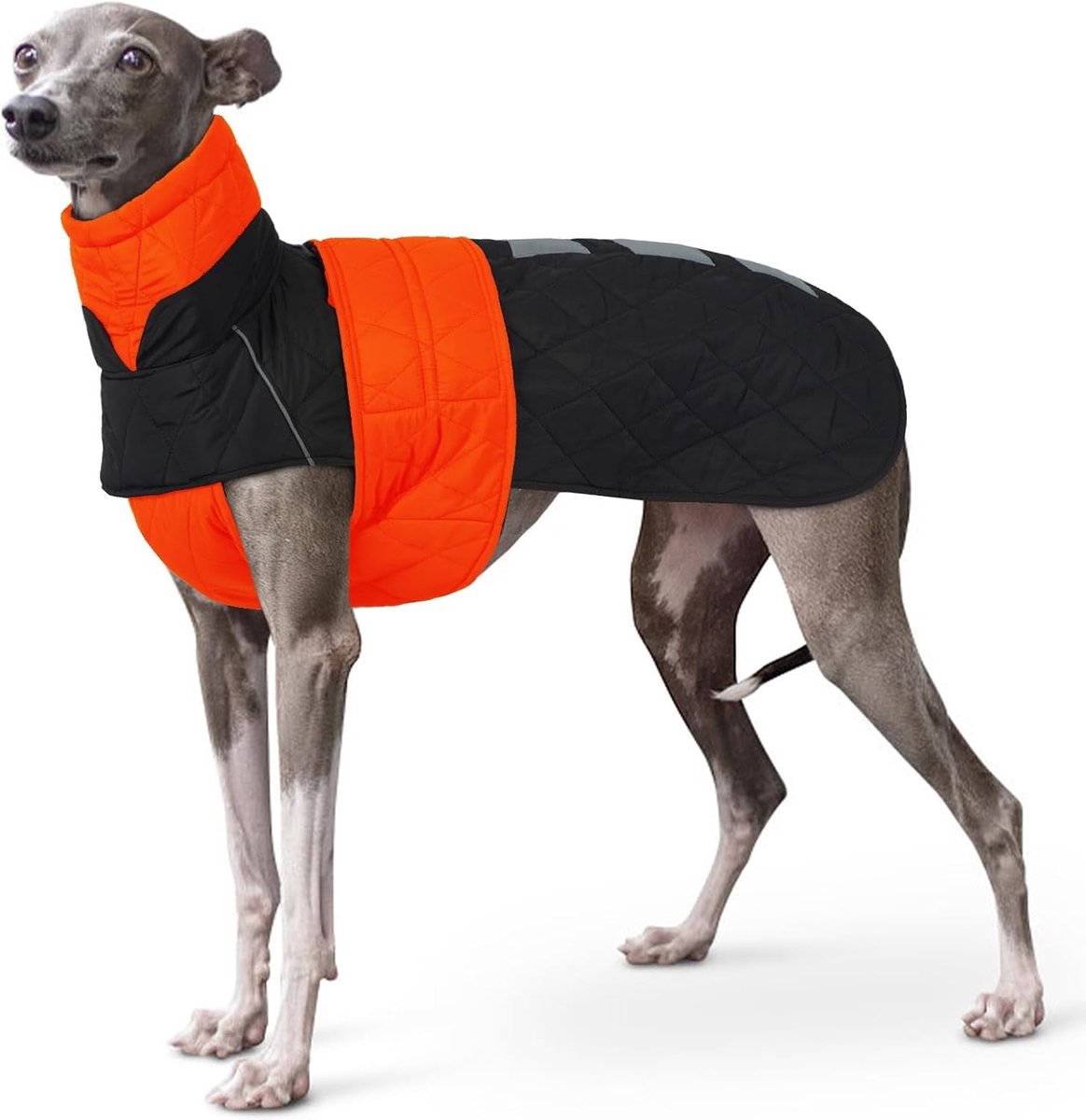 Grijze Whippet Pullover voor Greyhounds, Warm Winterjack voor Honden, Waterafstotend Fleece, Maat Klein