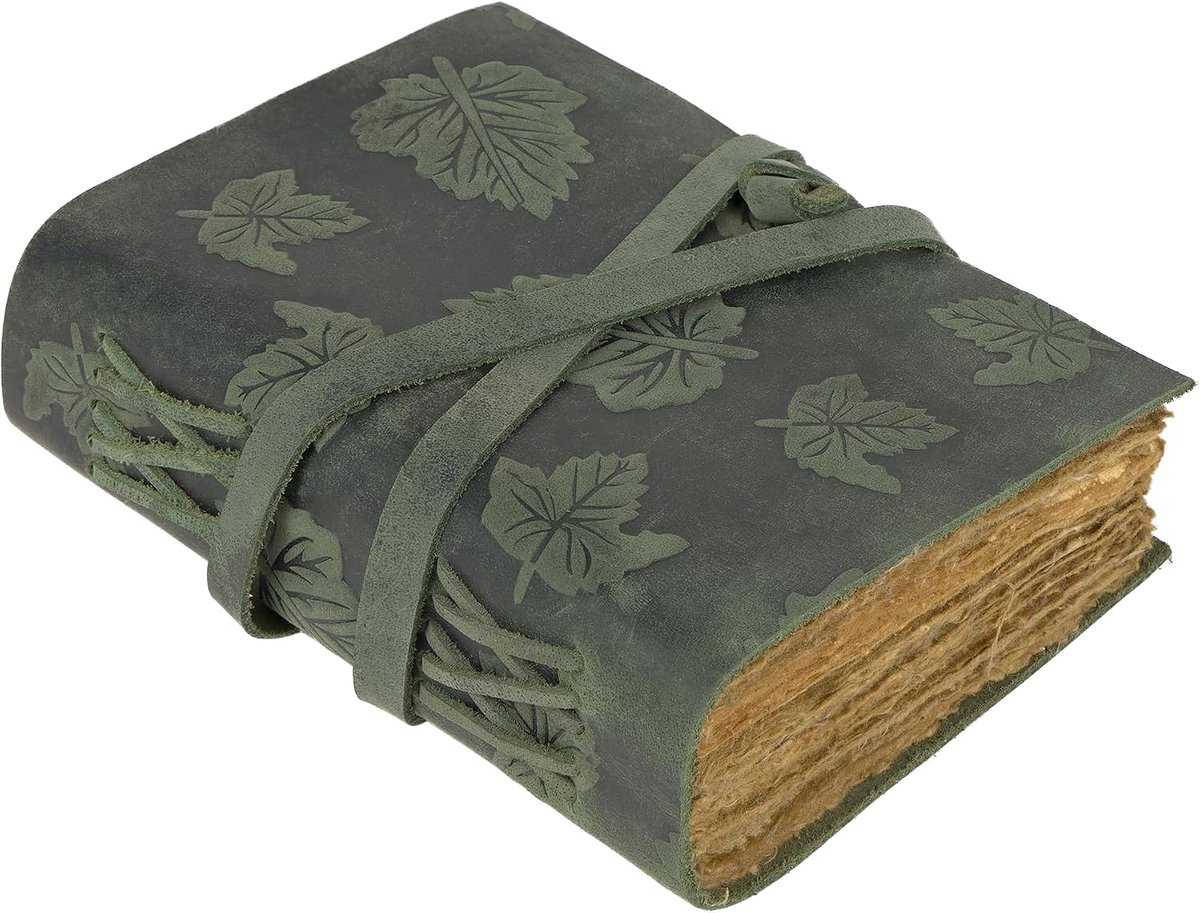 Vintage Green Leather Notebook with Steel Sheets Cotton Paper Notebook, 18 x 13 cm, Perfect as a Travel Journal or - ShopVlot