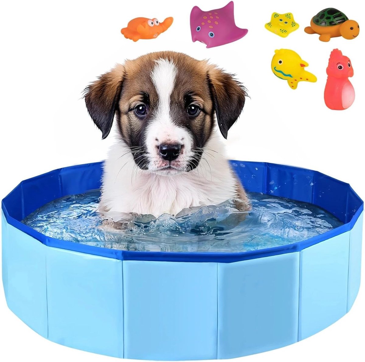 Hondenzwembad - Blauw - 50 x 10 cm - Opvouwbaar en Duurzaam - Voor Kleine Honden en Katten