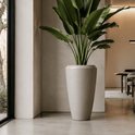 Un grand vase conique sable clair à la finition mate, rempli d'une plante oiseau de paradis aux grandes feuilles.