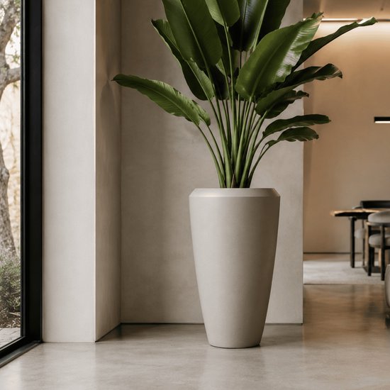 Un grand vase conique sable clair à la finition mate, rempli d'une plante oiseau de paradis aux grandes feuilles.