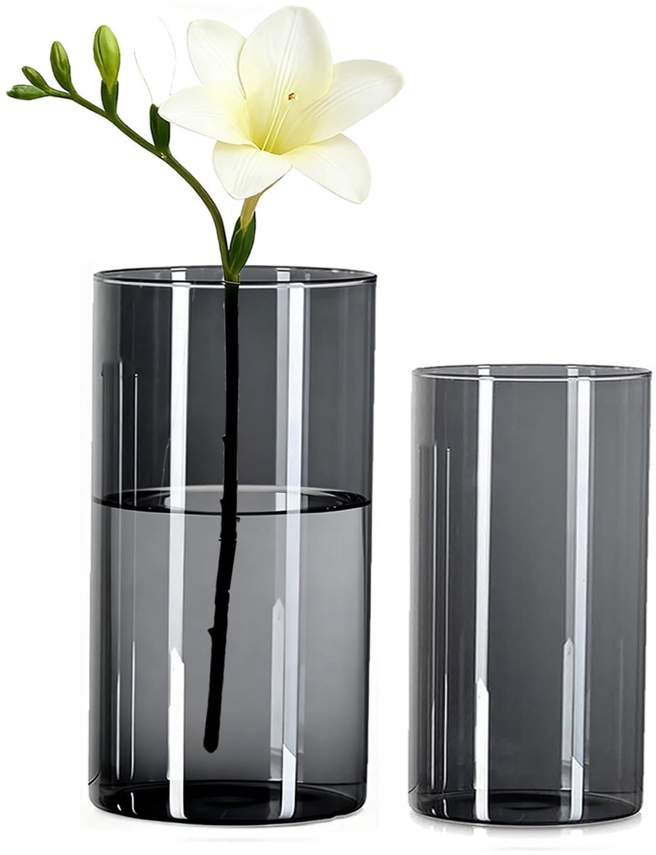 Cilindervazen set van 2 - grijze acryl - heldere onbreekbare kunststof - perfect voor bloemstukken - ShopVlot
