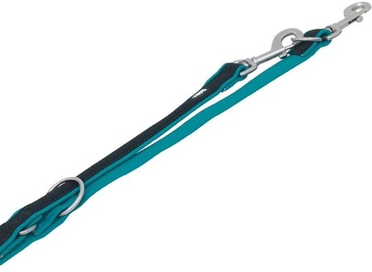 Honden Trainingsriem - Verstelbare Leash - Veilig Wandelen - Neopreen Gevoerd - 200 cm - Turkoois