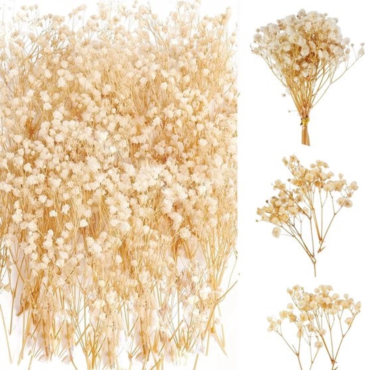 65 Stuks Gedroogde Gipsophila (Bloemen) Wit – Bruiloft Decoratie en Droogbloemen voor Huisdecoratie en DIY