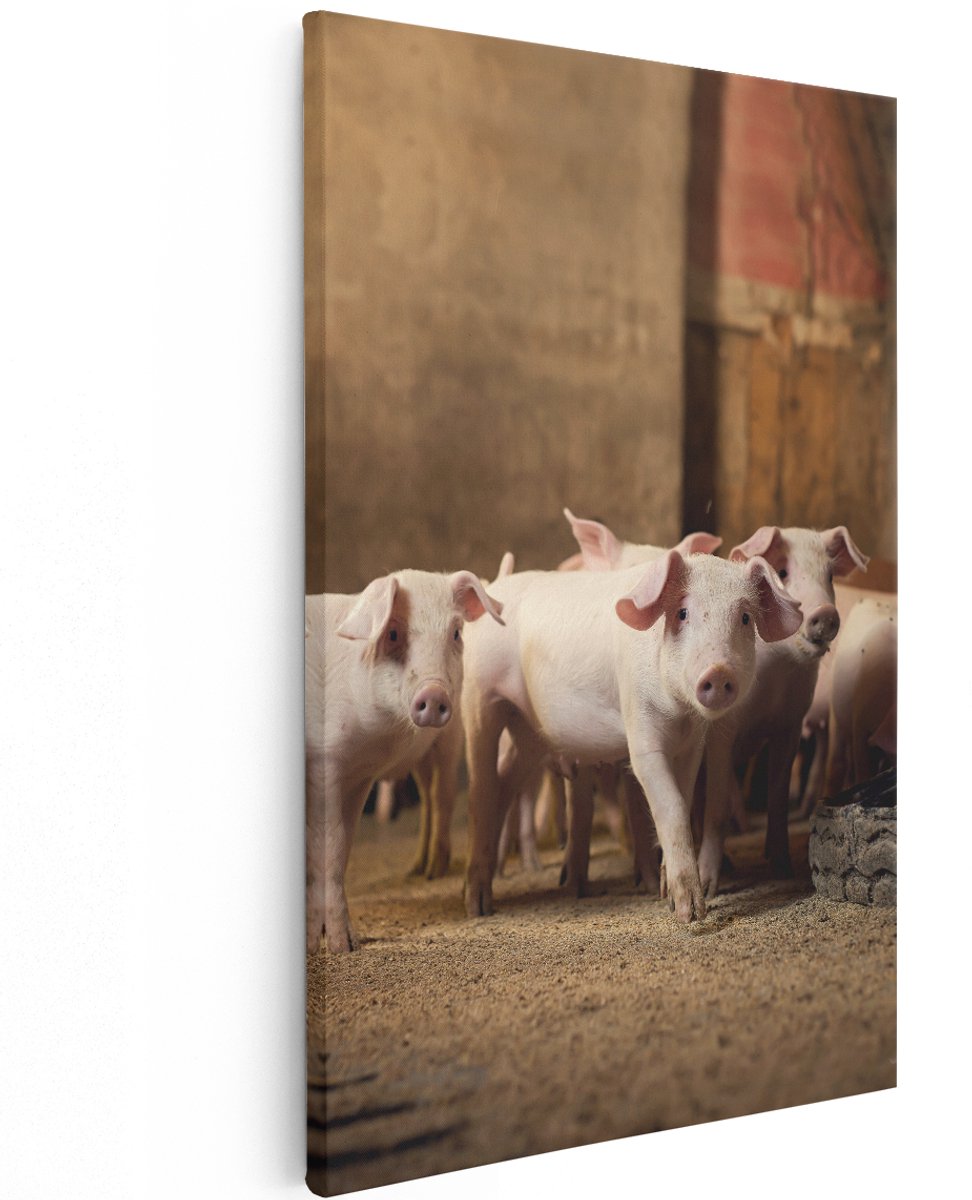 Artaza Canvas Schilderij Varkens op een Boerderij Stal - 120x180 cm - Groot - Wanddecoratie Woonkamer - Schilderijen - Muurdecoratie