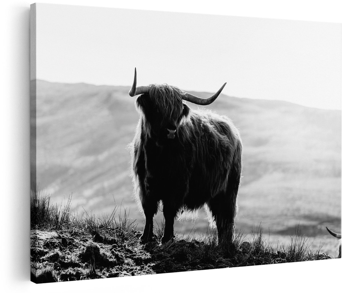 Artaza Canvas Schilderij Schotse Hooglander in de Heuvels van Schotland - Zwart Wit - 180x120 cm - Groot - Foto Op Canvas - Wanddecoratie
